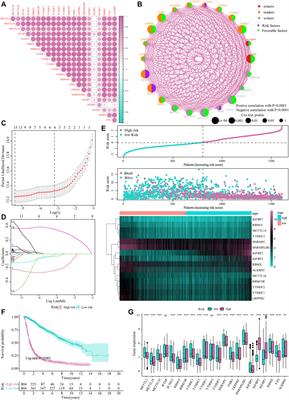 m6A Regulatory Gene-Mediated Methylation Modification in Glioma Survival Prediction